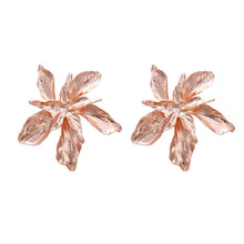Load image into Gallery viewer, Charm Earrings <3 <3